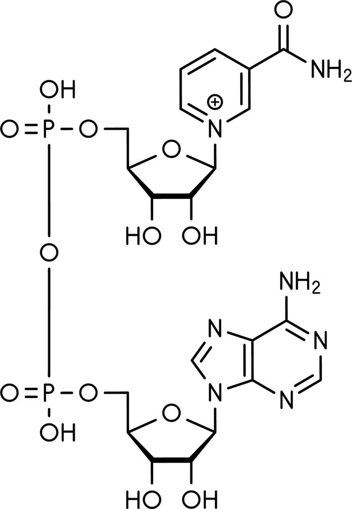 NAD+